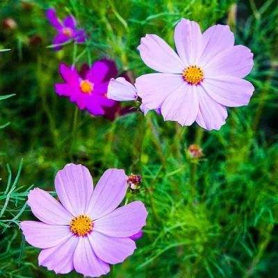 开全站登录app手机app下载